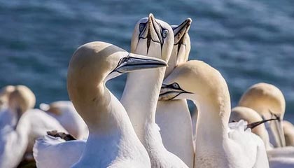 😧家长控诉孙继海青训:孩子因伤退队要自由身 球队却索18万天价