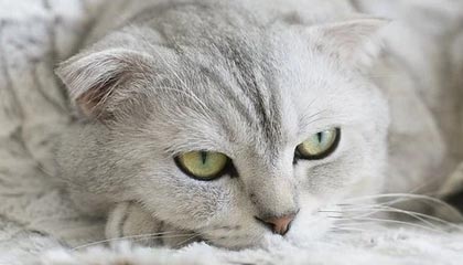 😧家长控诉孙继海青训:孩子因伤退队要自由身 球队却索18万天价